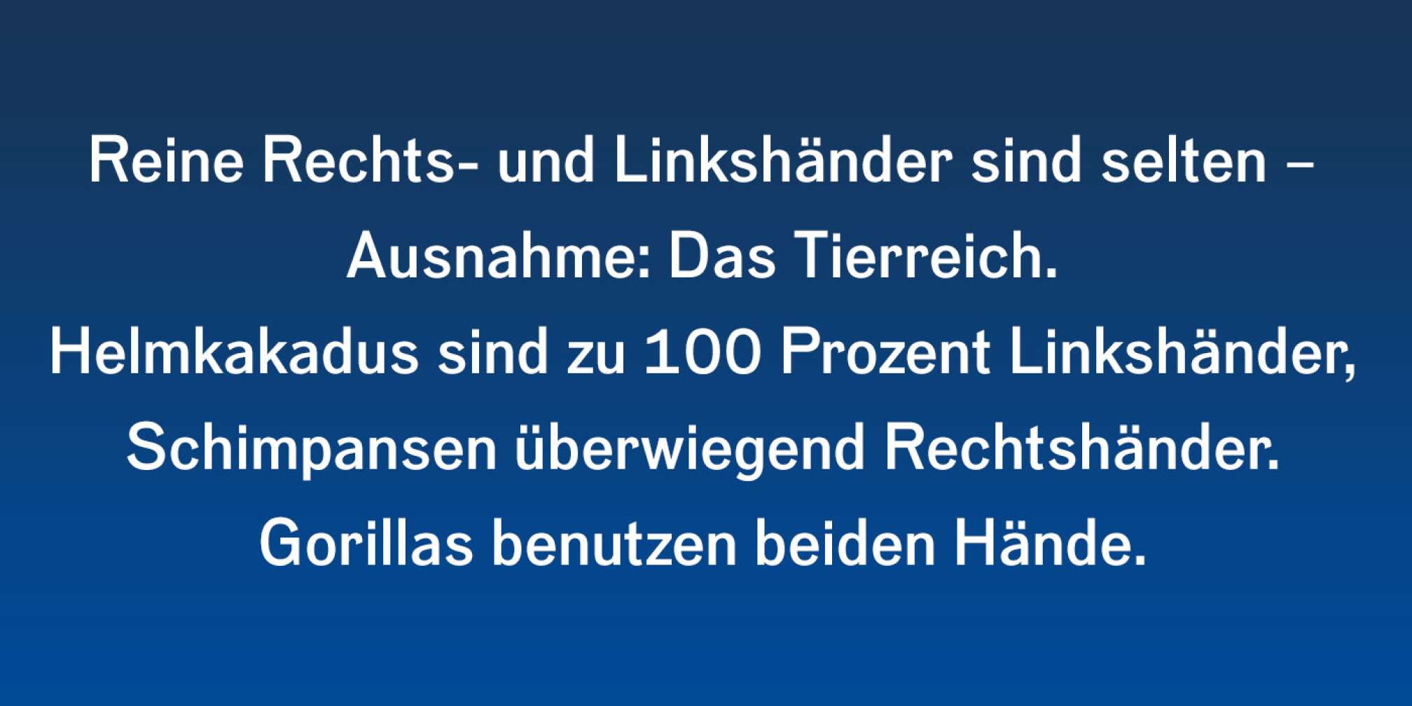Fakt über Linkshänder als Fließtext