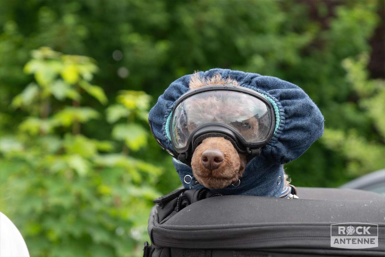 Foto der ROCK ANTENNE Motorradtour 2025 am 01. Juni 2025