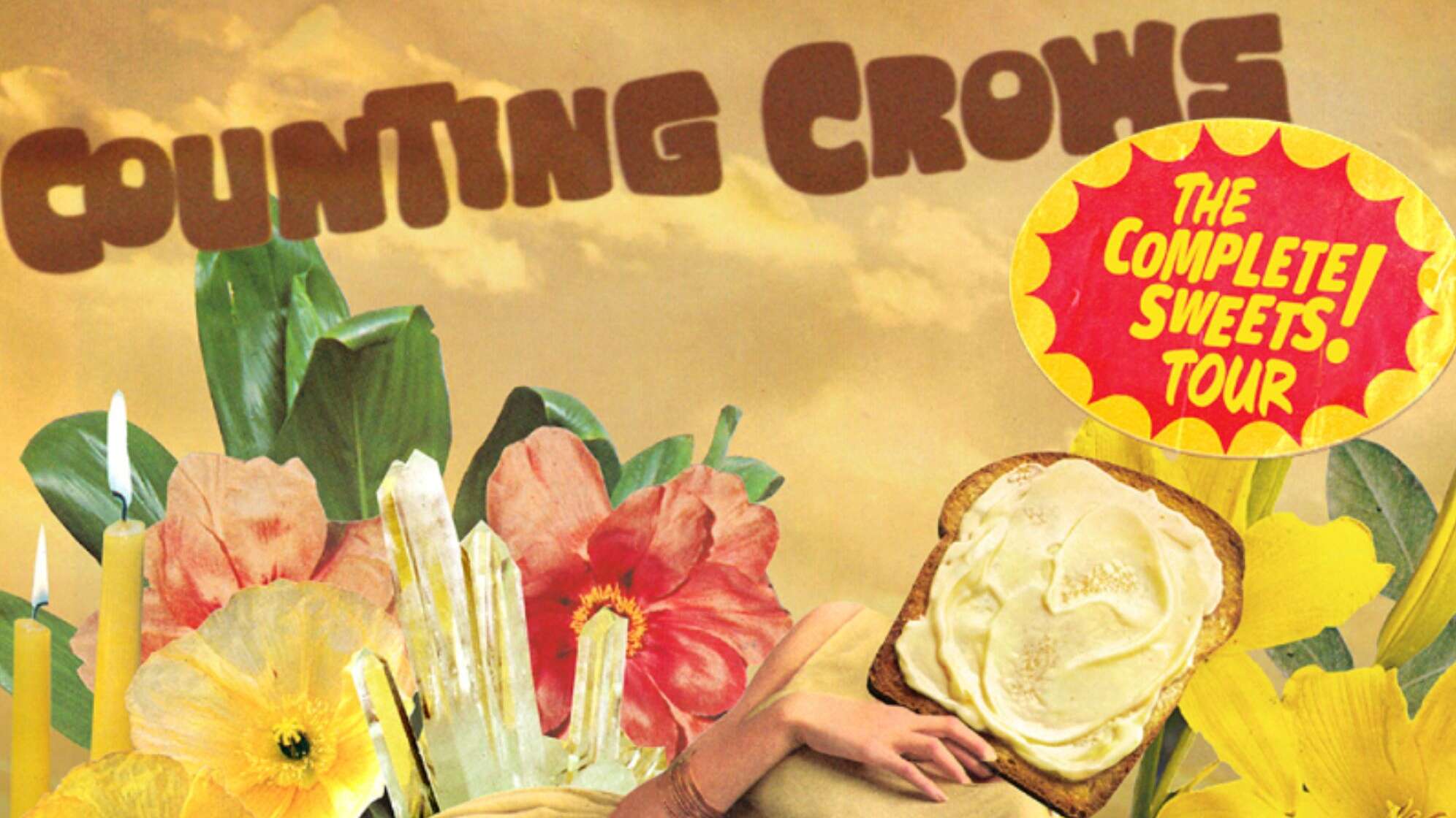 Onlinebanner Counting Crows