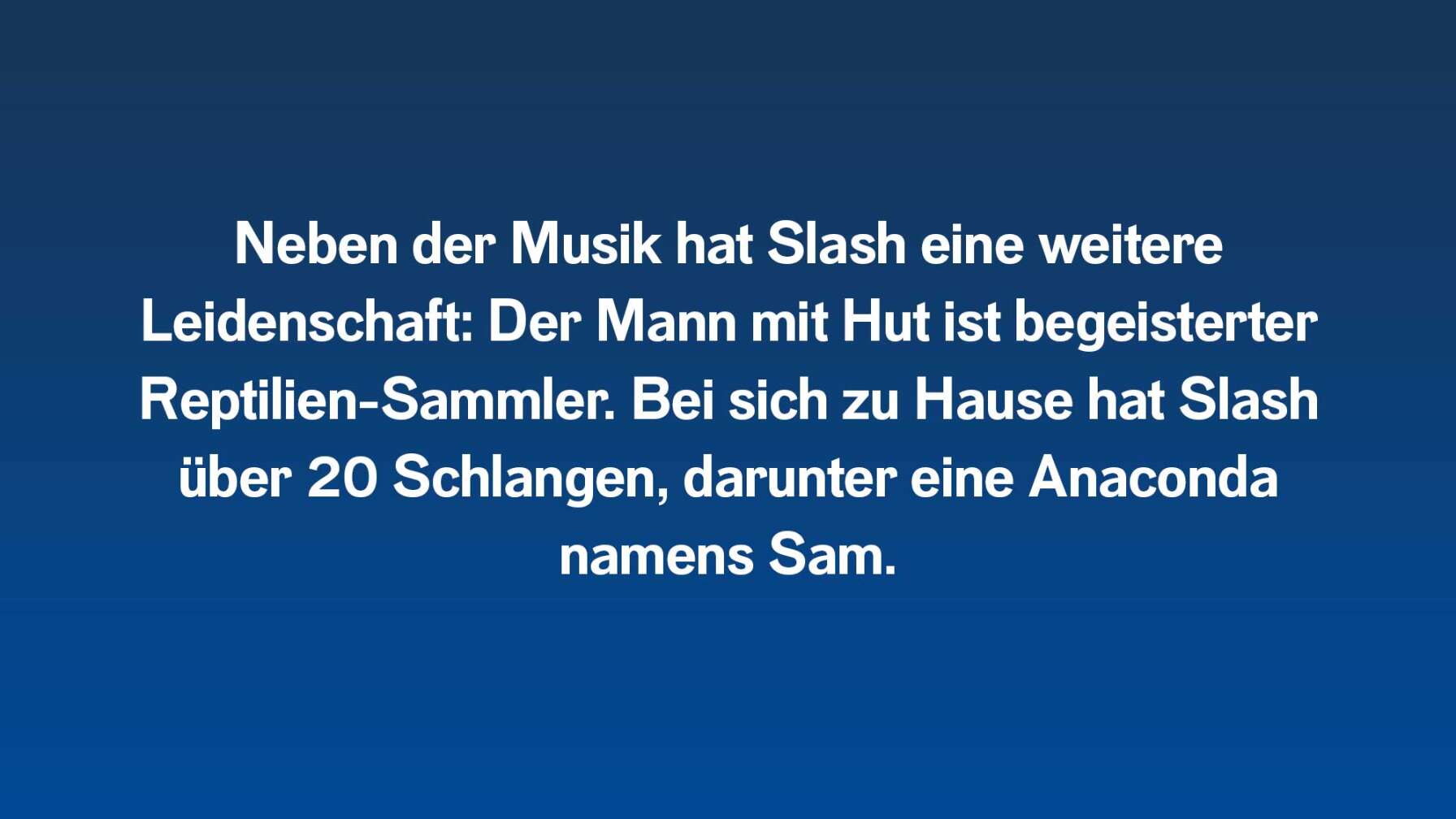 Neben der Musik hat Slash eine weitere Leidenschaft: Der Mann mit Hut ist begeisterter Reptilien-Sammler. Bei sich zu Hause hat Slash über 20 Schlangen, darunter eine Anaconda namens Sam.